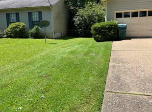Janet R.'s Lawn Service service result