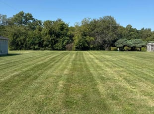 Crystal A.'s Lawn Mowing service result