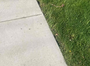 Kamal L.'s Lawn Service service result