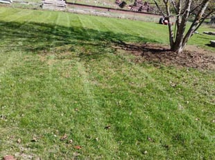 Brittaney W.'s Grass Cutting service result
