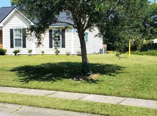 Charlene H.'s Lawn Mowing service result