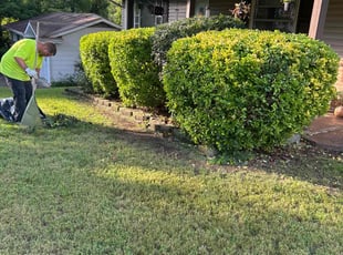 Bush Trimming by Kevin Corbin for Kimberly H. in Chattanooga, TN
