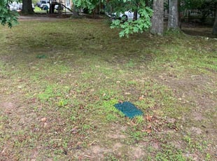 Leaf Removal by David Whitt for Veronica W. in Durham, NC