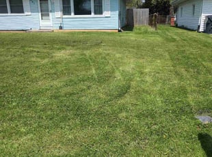 Martin L.'s Lawn Care service result