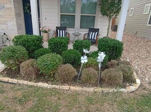 Bush Trimming by Wilmer Guevara for Kelsey S. in Leander, TX