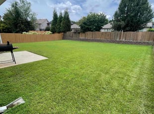 Dan M.'s Lawn Mowing service result