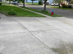 Carlton W.'s Lawn Service service result