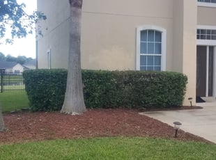 Bush Trimming by Andrew Alsobrook for Vincent T. in Jacksonville, FL