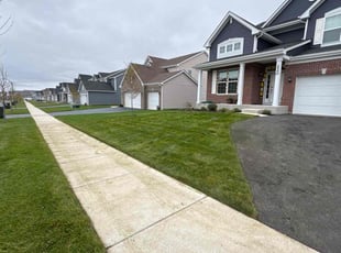 Kaili P.'s Lawn Maintenance service result