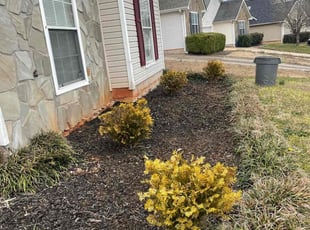Weeding by Brian Cortes for Beria D. in McDonough, GA