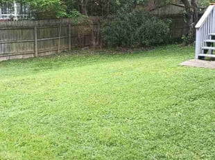 Cleanups by Bree Smith for Jerry S. in Louisville, KY