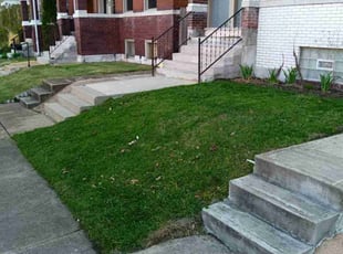 Ronald I.'s Yard Cutting service result
