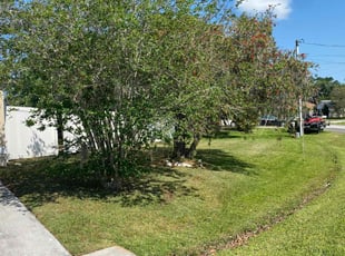 Gilda P.'s Lawn Care service result