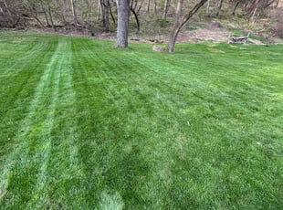 George M.'s Lawn Service service result