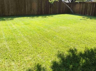 Terence C.'s Lawn Mowing service result