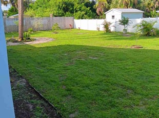 Katy W.'s Lawn Mowing service result