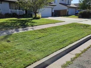 Mike B.'s Lawn Care service result