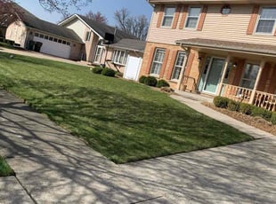 Chris Q.'s Lawn Mowing Service service result