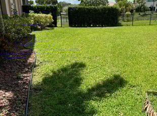Jasna S.'s Yard Cutting service result