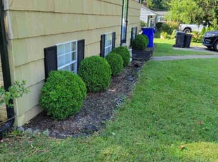 Cathy S.'s Yard Cutting service result