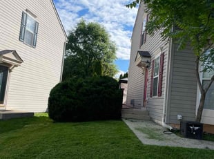 Bush Trimming by Yobani Benitez for Nathan J. in Odenton, MD