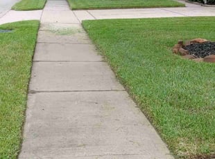 Bobbie B.'s Lawn Care service result
