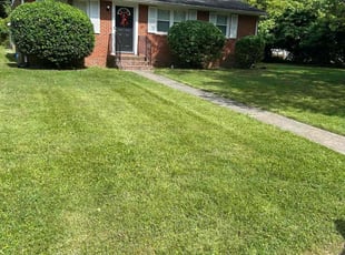 Bush Trimming by Davon Lightfoot for Tina R. in Richmond, VA