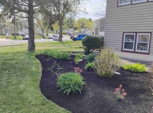 Manuel C.'s Lawn Care service result