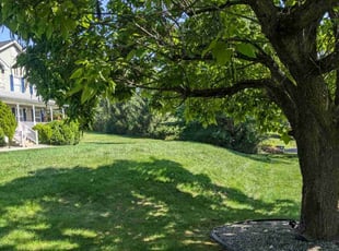 Kristin D.'s Lawn Service service result