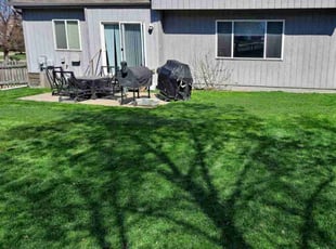 Dewitt S.'s Grass Cutting service result