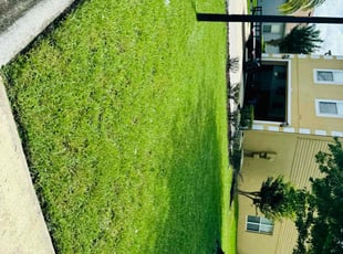 Lexie W.'s Lawn Mowing service result