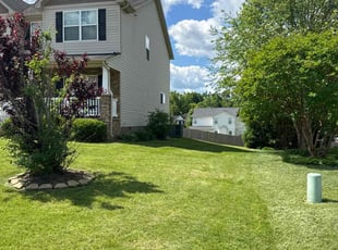 Jonathan W.'s Lawn Maintenance service result