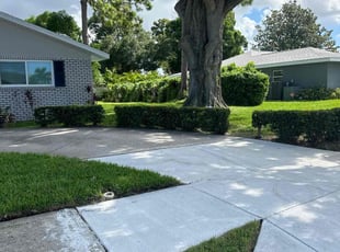 Maria S.'s Lawn Mowing service result