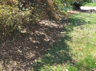 Weeding by Greg Reyes for Nicole U. in Asheville, NC
