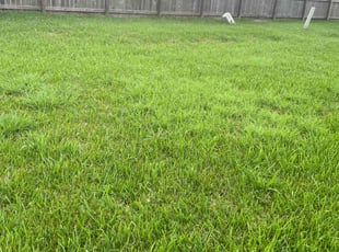 Jeffery E.'s Lawn Mowing service result