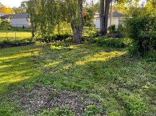 Weeding by Jeffrey Kuss for Ashley M. in Minneapolis, MN