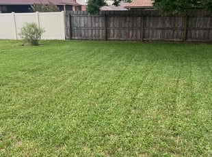 Dennis M.'s Lawn Service service result