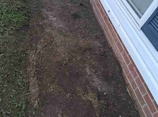 Weeding by Brandon Hughes for Kieyesa J. in Colonial Heights, VA