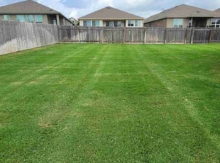 Brian F.'s Lawn Service service result
