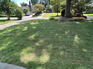 Tyrice K.'s Lawn Care service result