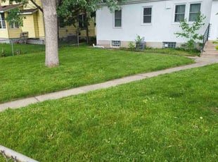Sharon R.'s Lawn Maintenance service result
