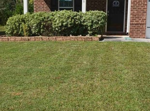 Lisa C.'s Grass Cutting service result