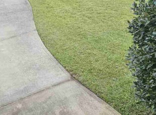 Ying L.'s Lawn Service service result