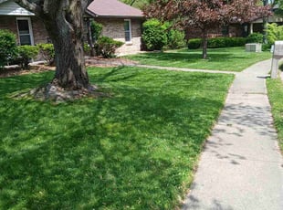 Angelica S.'s Lawn Service service result