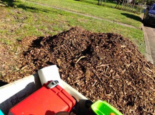 Mulching by Amanda Sheffield for Mary L. in Portsmouth, VA