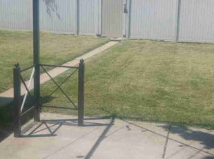Edward F.'s Lawn Mowing Service service result