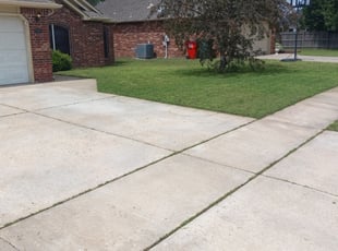 Bush Trimming by Kyle McDaniel for Nancy E. in Owasso, OK
