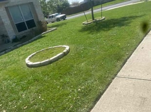 Marianne &.'s Lawn Maintenance service result