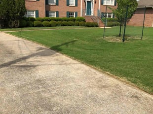 Carmen M.'s Lawn Mowing Service service result