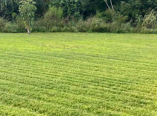 James N.'s Lawn Mowing Service service result